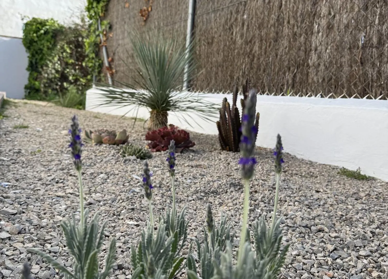 Los Jardines De Zahora C02 加的斯 0*,